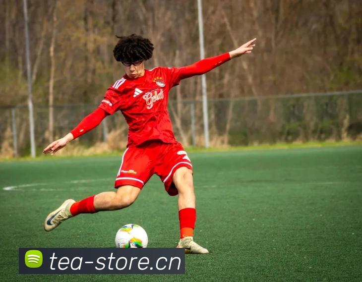 星空体育官方链接品牌故事